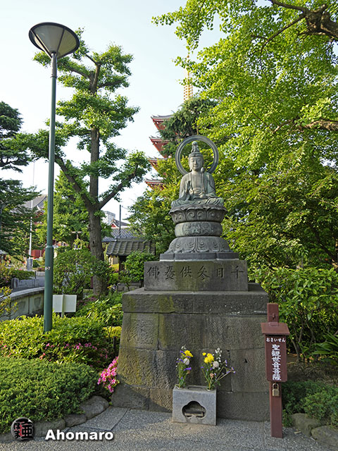 写真00