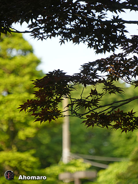 写真00