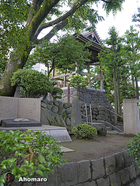 写真00