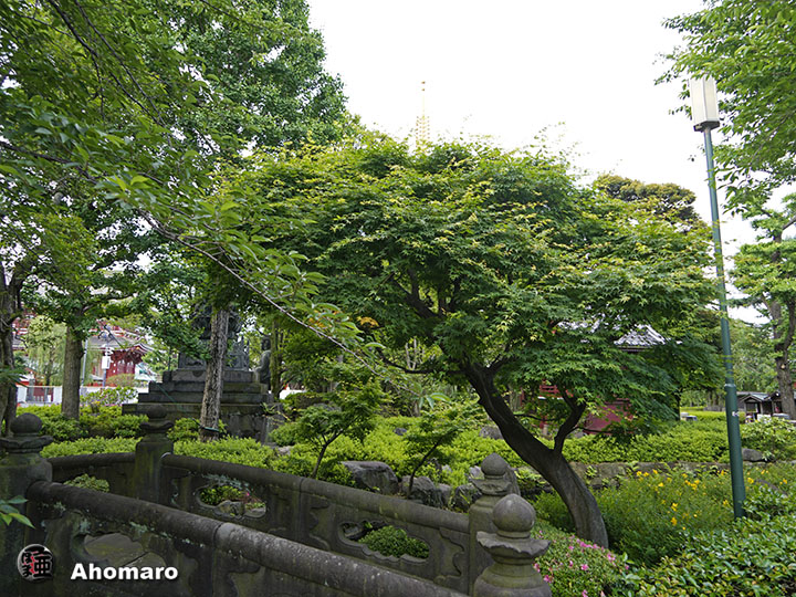 写真00