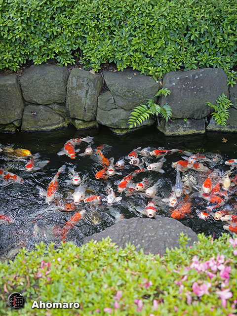 写真00