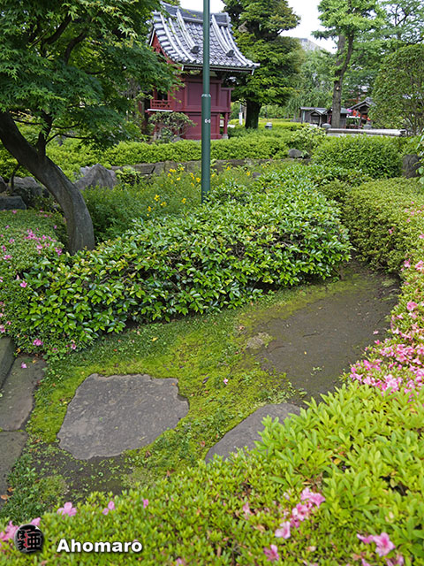 写真00