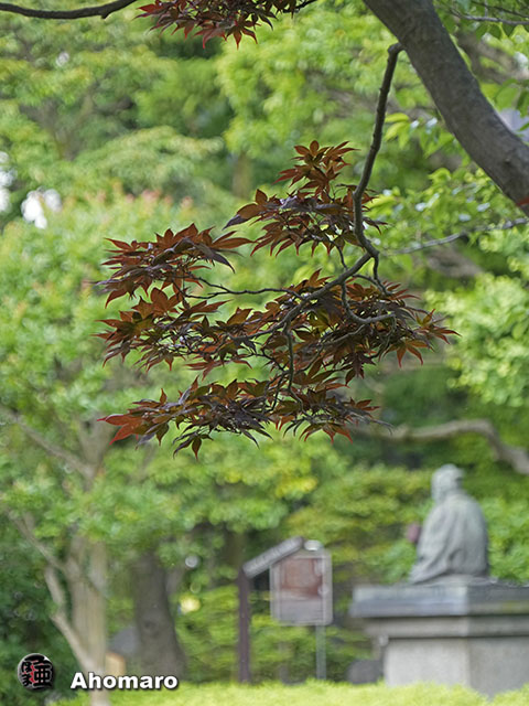 写真00