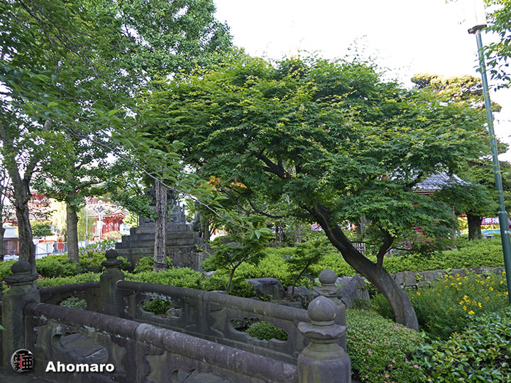写真00