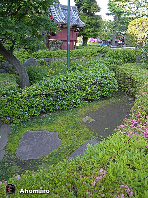 写真00