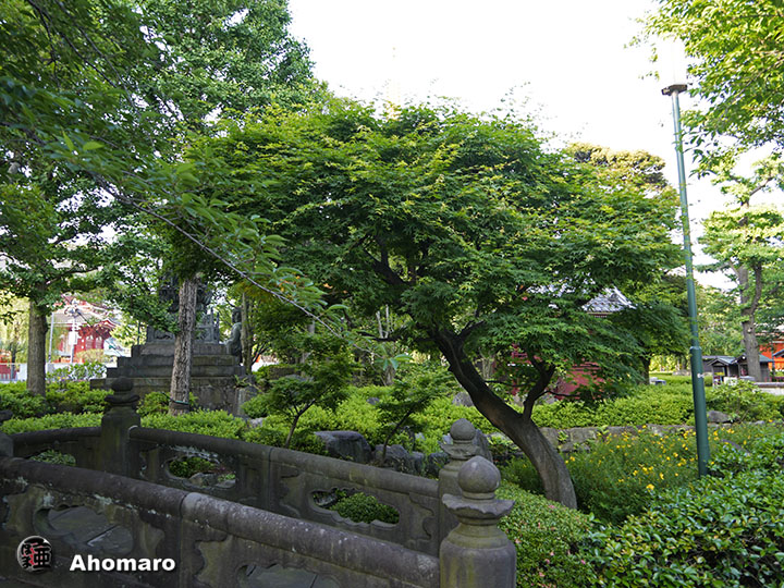 写真00