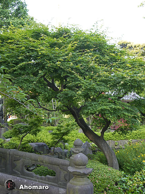 写真00