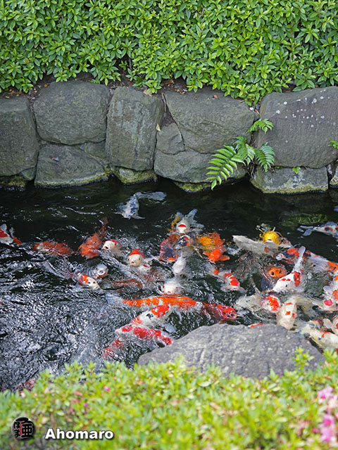 写真00