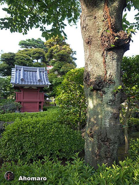 写真00