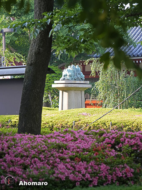 写真00