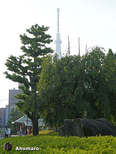 写真00