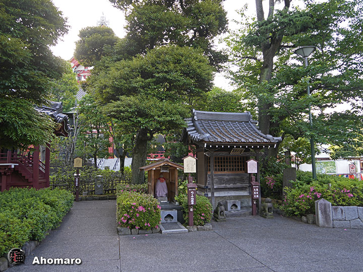 写真00