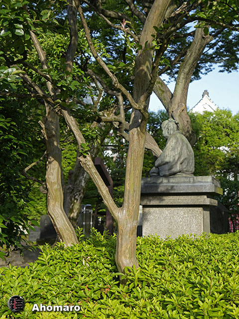 写真00