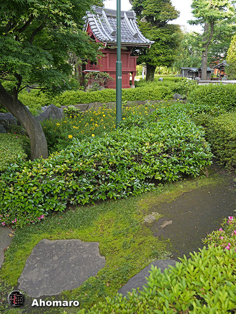 写真00