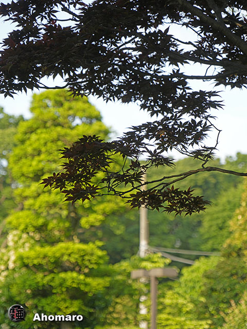 写真00