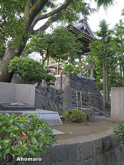 写真00