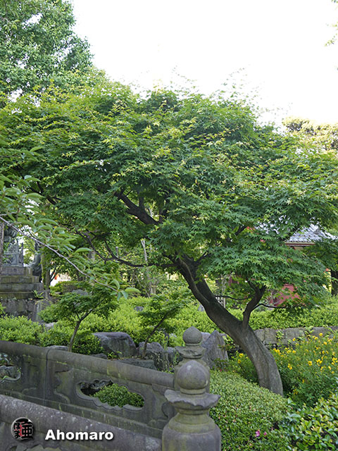 写真00