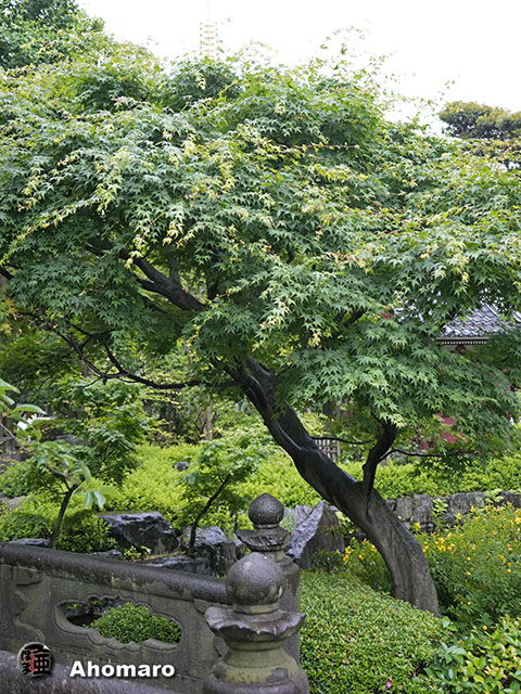 写真00