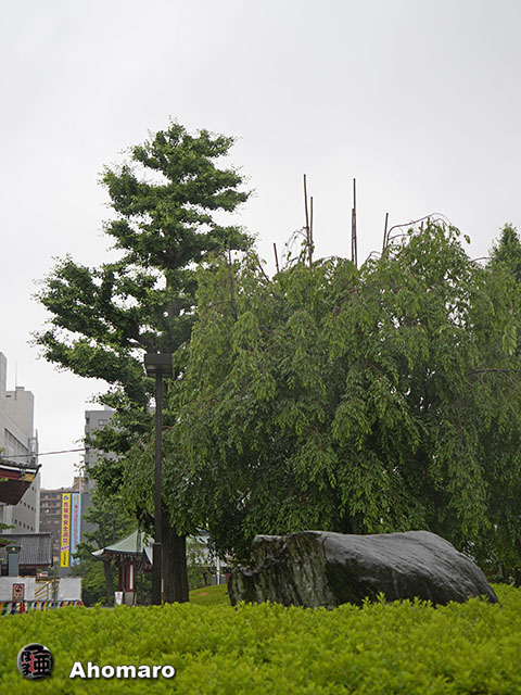 写真00