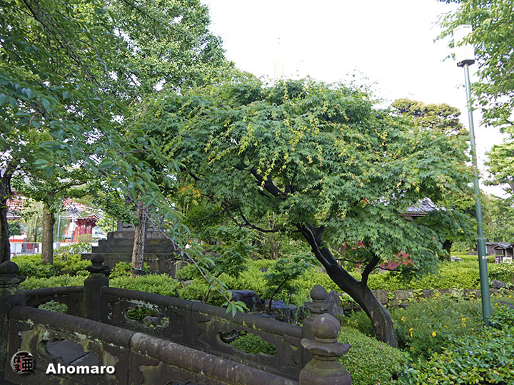 写真00