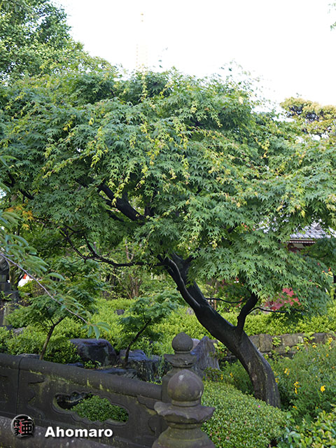 写真00