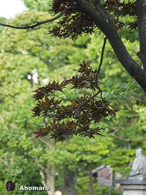 写真00