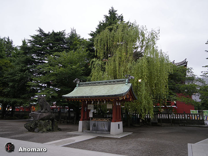 写真00