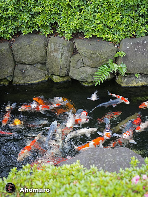 写真00