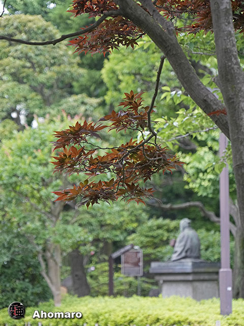 写真00