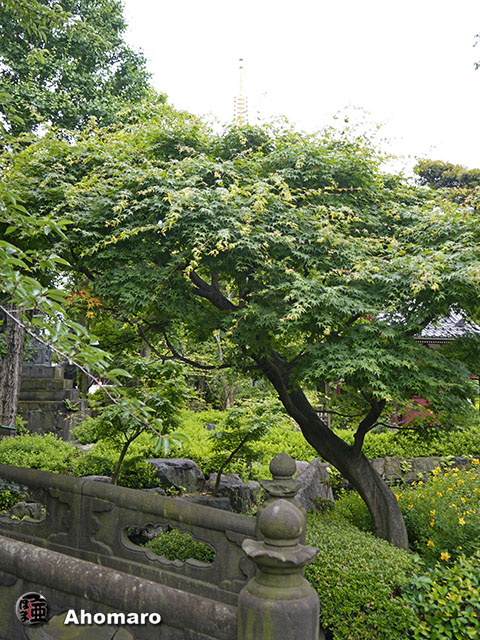 写真00