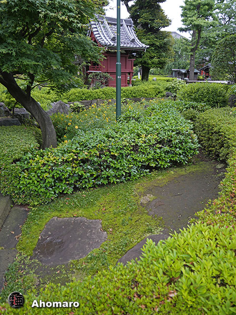 写真00