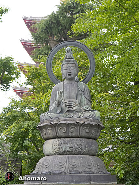 写真00