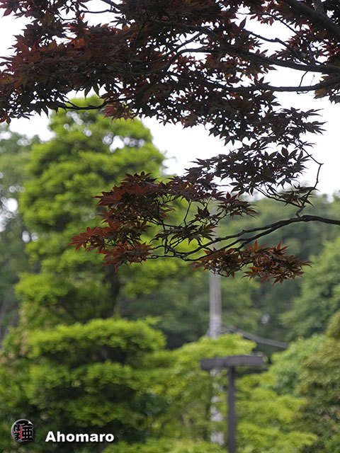 写真00