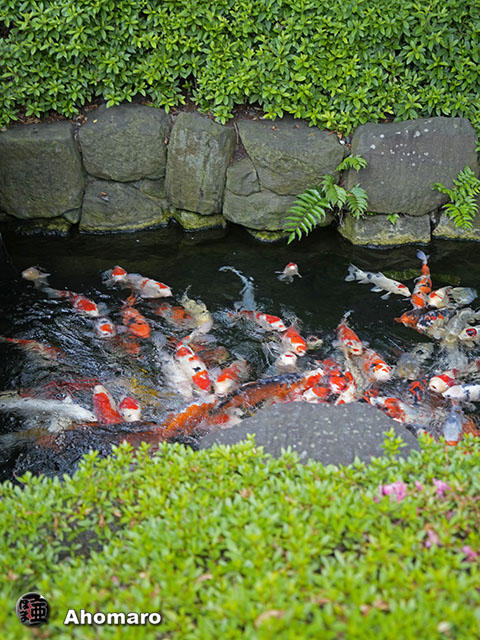 写真00