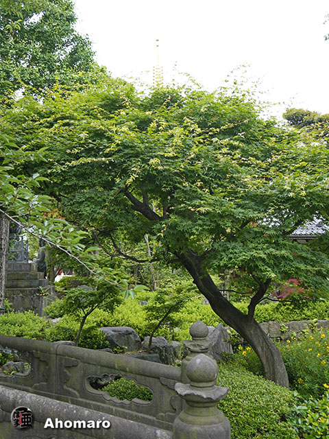 写真00