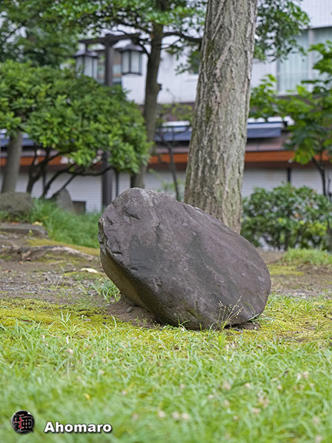 写真00