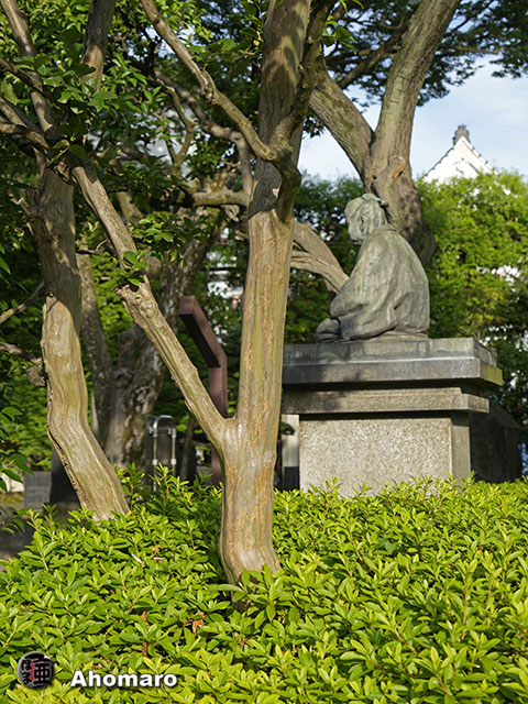 写真00