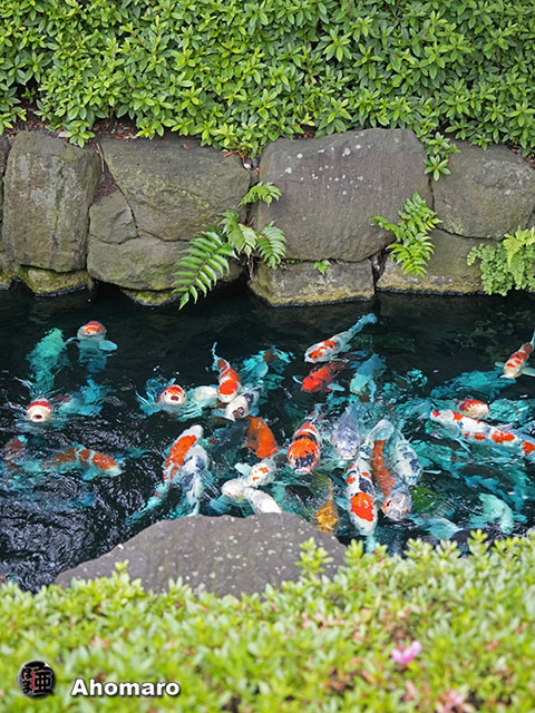 写真00