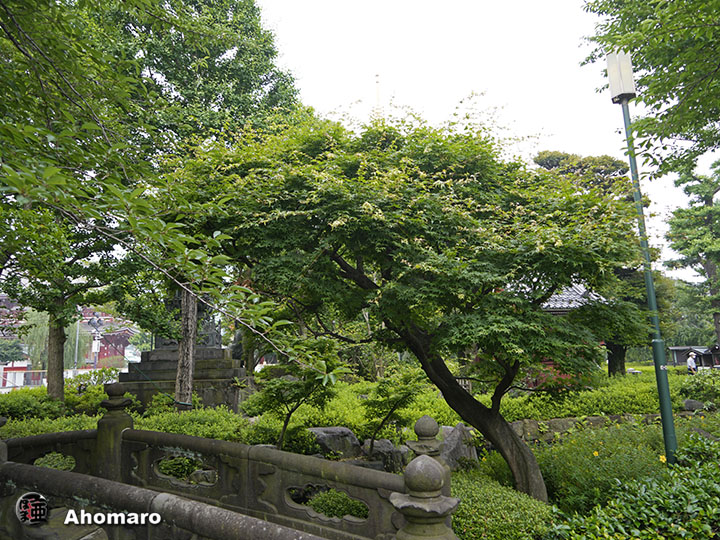 写真00