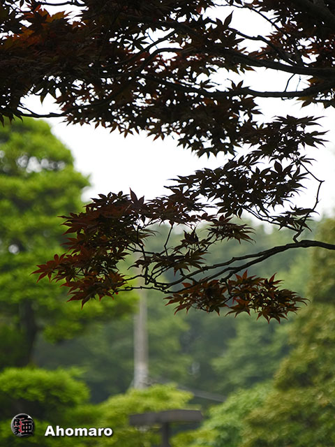 写真00