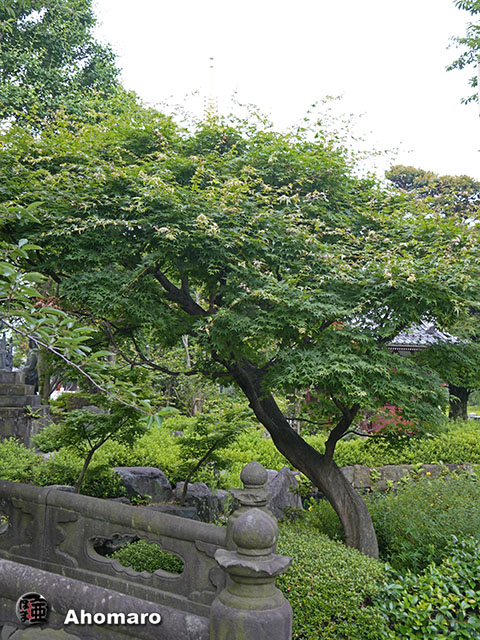 写真00