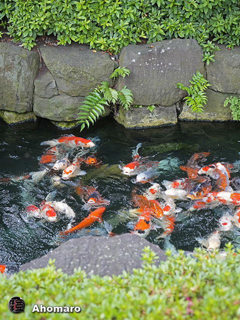 写真00