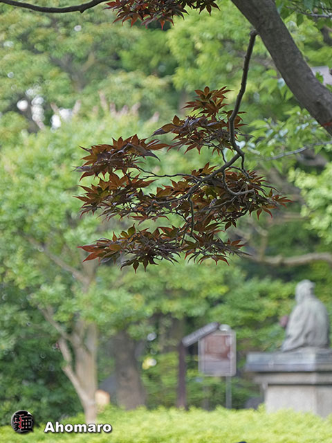写真00