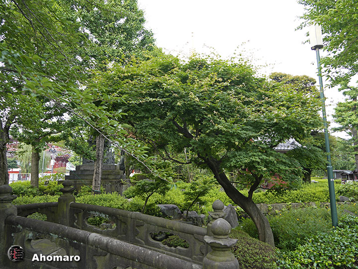 写真00