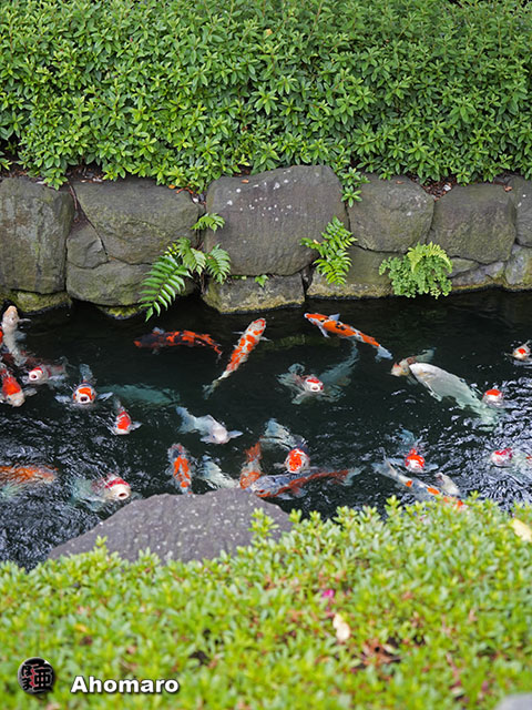 写真00