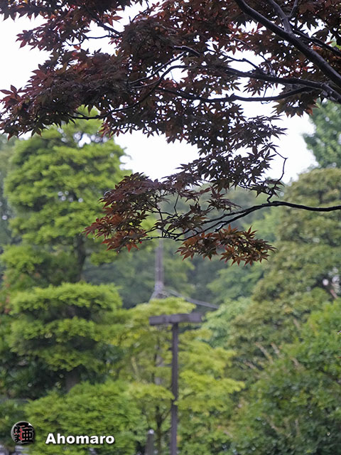 写真00