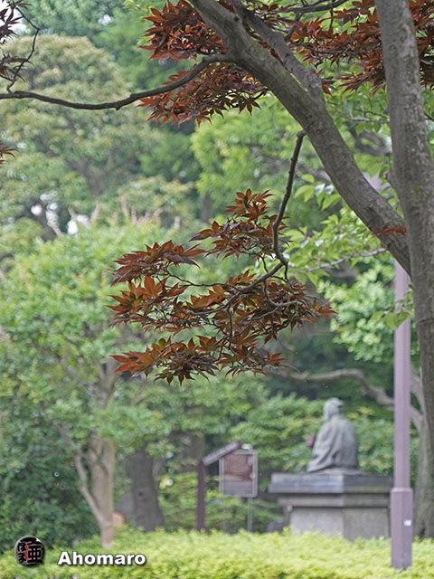 写真00