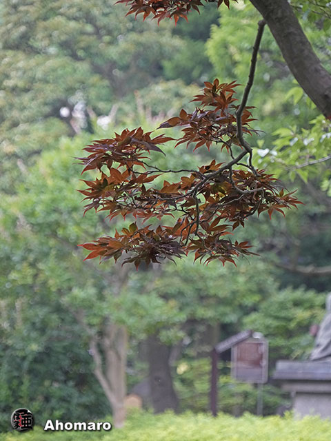 写真00