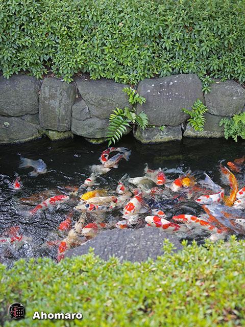 写真00