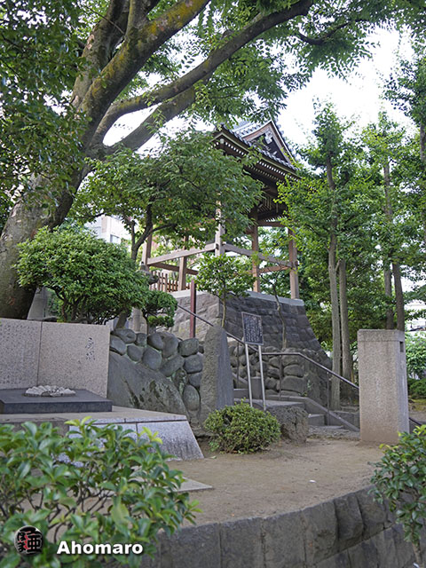 写真00
